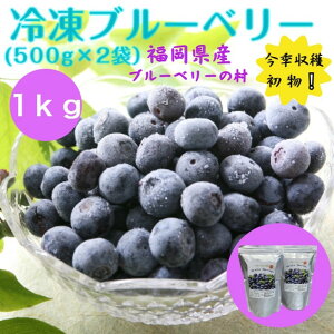ブルーベリー 1kgの人気商品 通販 価格比較 価格 Com