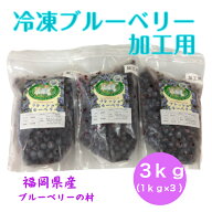 冷凍ブルーベリー加工用 3kg　 1kg×3袋　 福岡県産 　国産　送料無料　完熟 果物 フルーツ 冷凍 　アン…