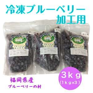 Ⓚu[x[Hp 3kg@ 1kg×3܁@ Y @Y@@n ʕ t[c Ⓚ @AgVAj