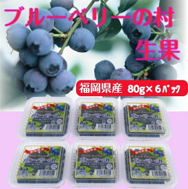 ブルーベリー生果ギフト　80g×6パック　福岡県産　生　完熟　果物　フルーツ　旬　冷蔵　プレゼント　父の日ギフト　くだもの
