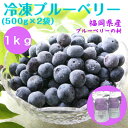 冷凍ブルーベリー 1kg　 500g×2袋　国産 福岡県産 送料無料　完熟 果物 フルーツ 冷凍 　アントシアニン