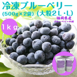 yʌ݌ɌzⓀu[x[ 1kg@y嗱2LELz@ 500g×2܁@Y Y @n ʕ t[c Ⓚ @AgVAj