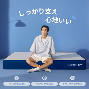 �yanan�f�ځz�}�b�g���X �Z�~�_�u���}�b�g���X 120cm BLUEBOX�}�b�g���X Z1�R�C�V �ᔽ�� ������ �X�v�����O�}�b�g���X �|�P�b�g�R�C���}�b�g���X �V���O�� �_�u�� �N���[�� 22cm �d�� ���K �Q�S�n