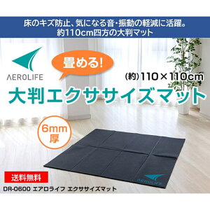 GACt 唻GNTTCY}bg DR-0600 110x1100x0.6cm 6mm  ߂ PVC Ռz Ȃ  U y Xgb` ^ g| ̊g[jO K _CGbg ؃g