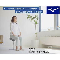 ミズノ MIZUNO エクササイズグッズ エクササイズチェア ル・プリエスクワット スクワットスリール グレー…