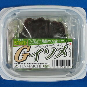 GC\ [ނa() C\ ⓀGT]