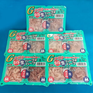 GN WpbNn[tn[tM 5Zbg [ ls HAMAICHI 肦 ILA~ m TVGT 5 ⓀGT]