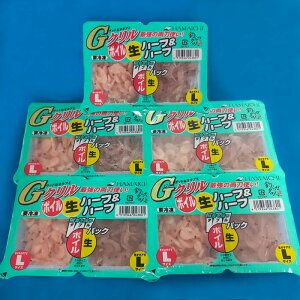 GN WpbNn[tn[tL 5Zbg [ ls HAMAICHI 肦 ILA~ l TVGT 5 ⓀGT]