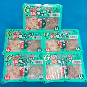 GN WpbNn[tn[tLL 5Zbg [ ls HAMAICHI 肦 ILA~ ll TVGT 5 ⓀGT]