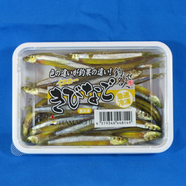 楽天市場 きびなご 黄 釣り餌 海上釣堀 釣り堀 キビナゴ サシエサ 冷凍エサ Blue Earth Fishing 楽天市場 きびなご 黄 釣り餌 海上釣堀 釣り堀 キビナゴ サシエサ 冷凍エサ Blue Earth Fishing
