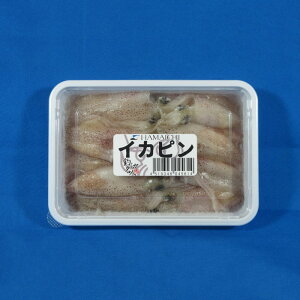 CJs [ ނ肦  ނx Cޖx TVGT ⓀGT ]