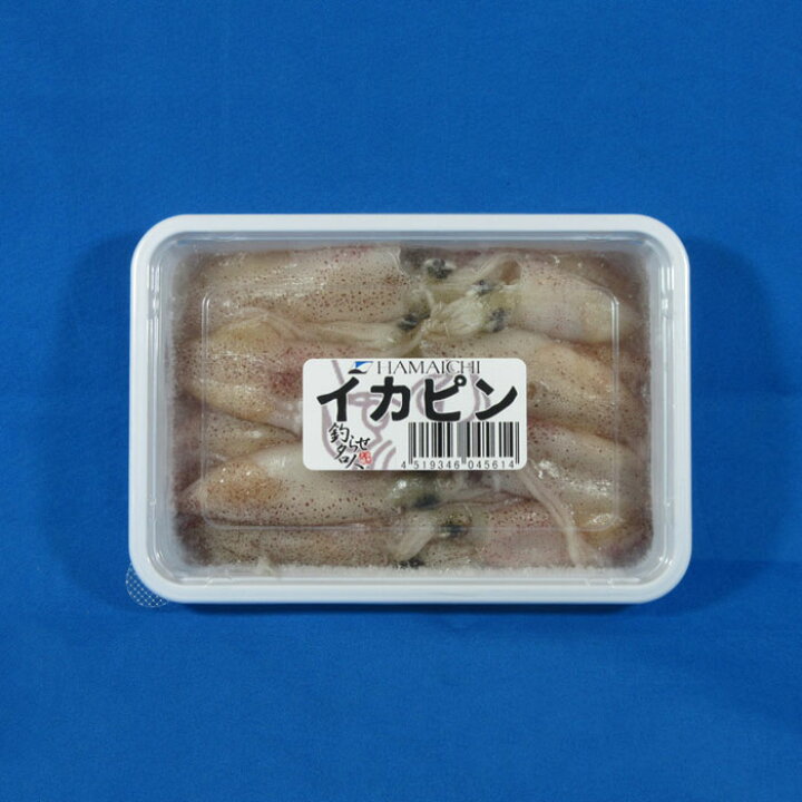 楽天市場 イカピン 釣りえさ いか 釣り堀 海上釣堀 サシエサ 冷凍エサ Blue Earth Fishing 楽天市場 イカピン 釣りえさ いか 釣り堀 海上釣堀 サシエサ 冷凍エサ Blue Earth Fishing