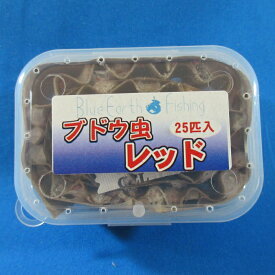 楽天市場 渓流釣り 餌の通販