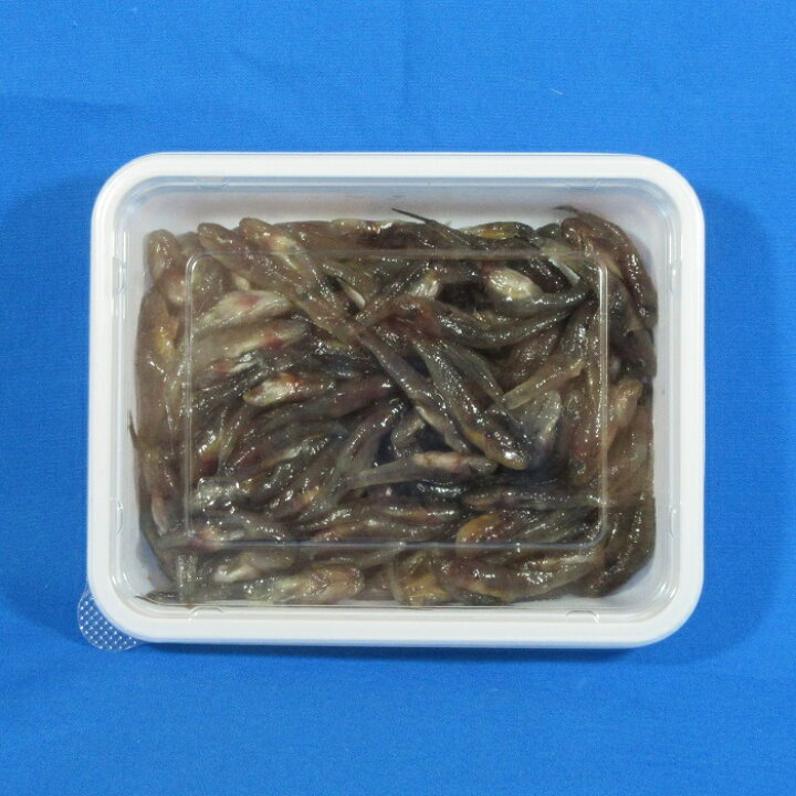 楽天市場 小ハゼ不凍加工 釣り餌 えさ コハゼ サシエサ 冷凍エサ Blue Earth Fishing