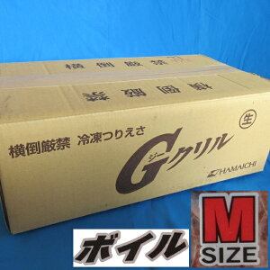 GN VOpbN{C^CvM 1Zbg [ނa() ILA~ TVGT ܂Ƃߔ  ⓀGT]