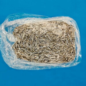 ���тȂ�5kg 2�� [ �ނ�a ���тȂ� �L�r�i�S �����s�� �Ⓚ�G�T ]