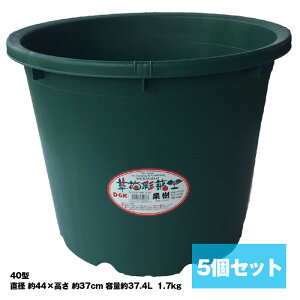 大型 鉢栽培 植木鉢【DGK 草花採菜 果樹 40型 5個セット】花 木 果物 家庭菜園 ガーデニング 大和技研工業 送料無料
