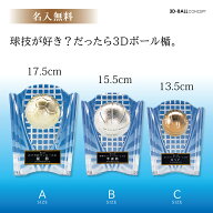 ★楽天1位★【名入れ無料】 楯 3D ボール レリーフ付き 盾 3サイズ サッカー トロフィー 野球 ゴルフコン…