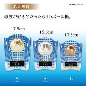 ★楽天1位★【名入れ無料】 楯 3D ボール レリーフ付き 盾 3サイズ サッカー トロフィー 野球 ゴルフコンペ トロフィー メダル バスケ バレー 賞品 景品 表彰 卒団記念品 名入れ 優勝 KV5458
