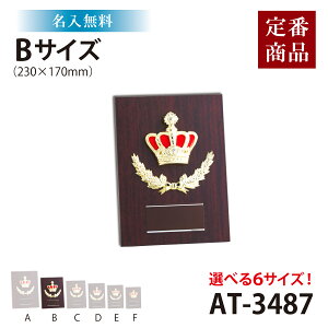【名入れ無料】楯 高さ23cm Bサイズ 表彰 AT4487B トロフィー 表彰 メダル 野球 サッカー バスケットボール ゴルフ バドミントン バレーボール 剣道 柔道 記念 卒団 式典