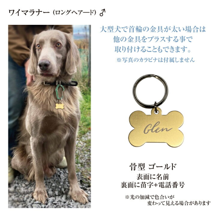 アルミ製 足跡型 札 送料無料 名札 犬 オマケ付 猫 キーホルダー 迷子札 名入れ無料 名入れ