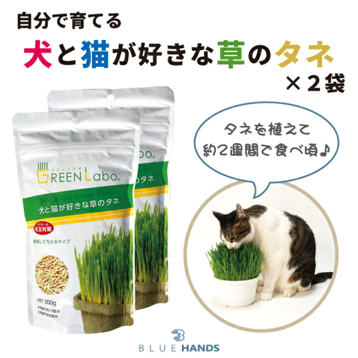 楽天市場 送料無料 犬 猫草の種 ２袋セット １袋0ｇ ２個 犬草 猫草 犬 猫 草 種 タネ ペット 毛玉 ケア クサ 植木 体調 毛玉対策 ネコ イヌ おやつ フード ねこ草 いぬ草 うさぎ 小動物 生牧草 Blue Hands