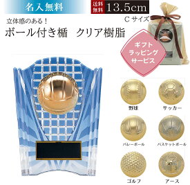 【名入れ無料】★楽天1位★トロフィー 楯 高さ13.5cm かわいい ボール レリーフ付き サッカー トロフィー 野球 ゴルフコンペ トロフィー バスケ バレー 賞品 景品 表彰 卒団記念品 名入れ 優勝 立体的KV5458C