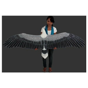 s-Aj}rbOtBMAV[YyԁEE~Vz݂艺igtBMAjerne bird ݂킵 h ҋח V figure X/X/Ŕ/IuWF/fBXvC/V{/u