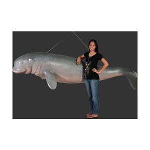 s-S2.9mIWStBMAE݂艺^CvigtBMAj dugonga sea pig dugong figure sea cow Dewgong C X/X/Ŕ/IuWF/fBXvC/V{/u/A[g y