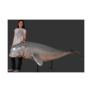 s-S2.9mIS2.9mIWStBMAEX^h^Cv ゲigtBMAj dugonga sea pig dugong figure sea cow Dewgong C X/X/Ŕ/IuWF/fBXvC/V