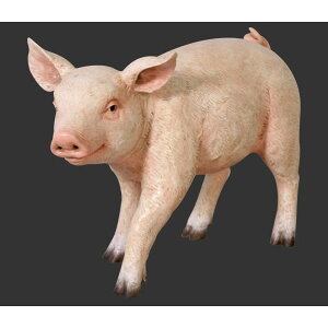 s-Aj}rbOtBMAV[Yy܂܂邵q؁iu^jԂzpigigtBMAj Christmas X/X/Ŕ/IuWF/fBXvC/V{/u/A[gʓr