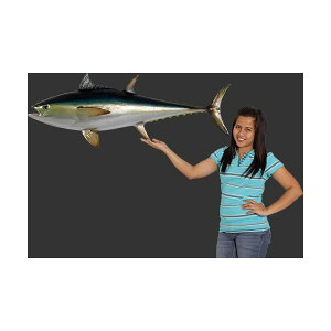s-S114cmIu[tB ܂ }O  tuna figure blue fine fish tBMAEǊ|^CvigtBMAj X/X/Ŕ/IuWF/fBXvC/V{/u/A[g