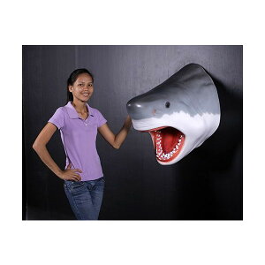 s-O[gEzCgV[NwbhErbOtBMAiǊ|^Cvj shark figureiǊ|^CvjX/X/Ŕ/IuWF/fBXvC/V{/u/A[gʓr