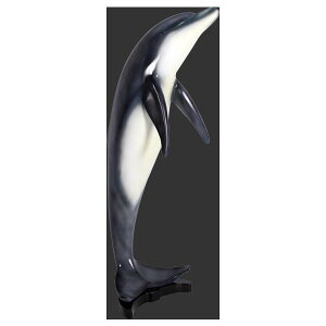 s-117cmIWsOECJtBMAigtBMAjC 邩 figure dolphin X/X/Ŕ/IuWF/fBXvC/V{/u/A[gyRCPnewlifeʓr