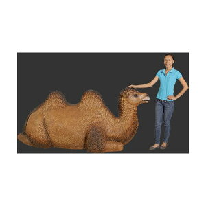ラクダ おもちゃ フィギュアの人気商品 通販 価格比較 価格 Com
