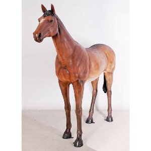 s-Aj}rbOtBMAV[YyU镑nzgtBMA/Tubg/n/n/n/JRA/R/pn /CfBO/z[X/horse/n/n/Ĕnʓr