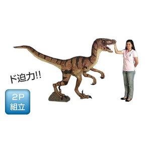 s-269cmIFLvg@gtBMAigtBMAjʓr