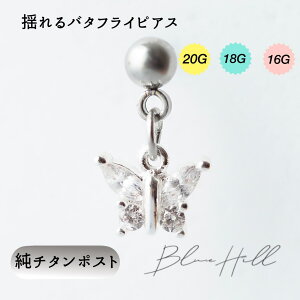 h o^tC ZJhsAX { `^  Ў AM[ AM[ Ή sAX  `^ O|Xg Q[W 16G 18G 20G 킢  BlueHill T[WJXe