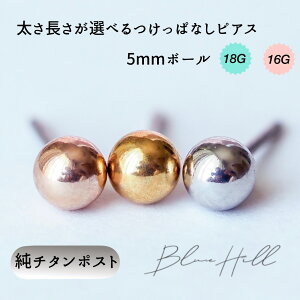 ςȂ {[ ZJhsAX { 5mm `^  Ў AM[ AM[ Ή t@[XgsAX sAX  `^ O|Xg Q[W 16G 18G 20G 킢  