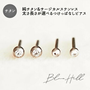 セカンドピアス 純チタン 16g アクセサリー ジュエリーの人気商品 通販 価格比較 価格 Com
