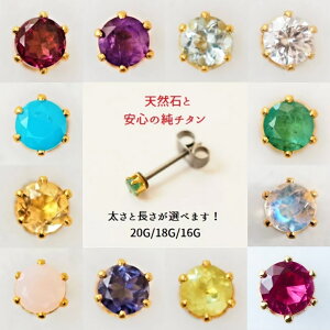  a ZJhsAX { S[ht[ 3mm `^ sAX AM[  Ў  `^ O|Xg 킢  BlueHill VR K[lbg AWXg AN