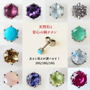  a ZJhsAX { Vo[t[ 3mm `^  Ў AM[ sAX  `^ O|Xg 킢  BlueHill VR K[lbg AWXg AN