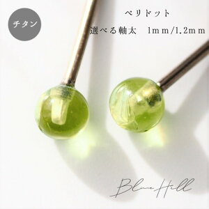 yhbg ZJhsAX { 4mm `^  Ў ςȂ AM[ AM[ Ή sAX  `^ O|Xg Q[W 16G 18G 20G 킢  BlueHill VR 