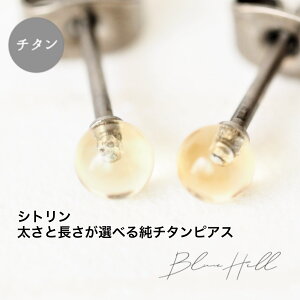 Vg ZJhsAX { 4mm `^  Ў ςȂ AM[ AM[ Ή sAX  `^ O|Xg Q[W 16G 18G 20G 킢  BlueHill VR a