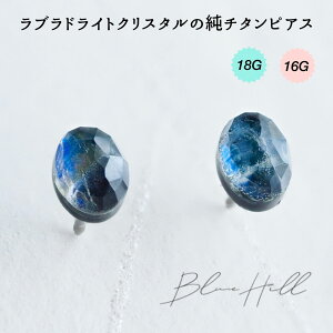 uhCgNX^ ZJhsAX { `^  Ў AM[ AM[ Ή sAX  `^ O|Xg Q[W 16G 18G 20G 킢  BlueHill VR 