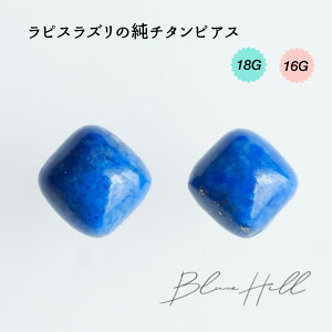 sXYXNGA ZJhsAX { `^  Ў AM[ AM[ Ή sAX  `^ O|Xg Q[W 16G 18G 킢  BlueHill sXY u