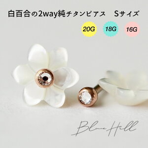 S 2way ZJhsAX { S `^  Ў AM[ AM[ Ή sAX  `^ O|Xg Q[W 16G 18G 20G 킢  BlueHill T[WJXeX 