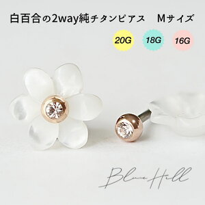 S 2way ZJhsAX { M `^  Ў AM[ AM[ Ή sAX  `^ O|Xg Q[W 16G 18G 20G 킢  BlueHill T[WJXeX 