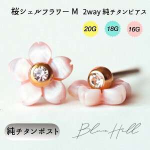 VFt[ 2way ZJhsAX { MTCY `^  Ў AM[ AM[ sAX  `^ O|Xg Q[W 16G 18G 20G 킢  BlueHill T[WJ