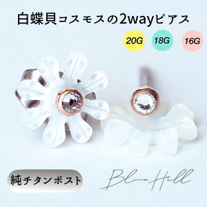 RXX 2way ZJhsAX { `^  Ў  zCg AM[ AM[ Ή sAX  `^ O|Xg Q[W 16G 18G 20G 킢  BlueHill T[WJ